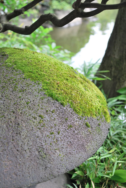 �����c�뉀