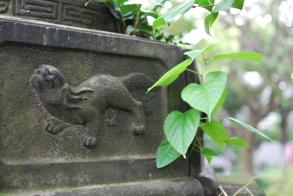 �����c�뉀