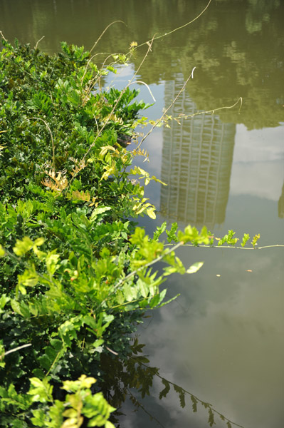 �l���{�����뉀