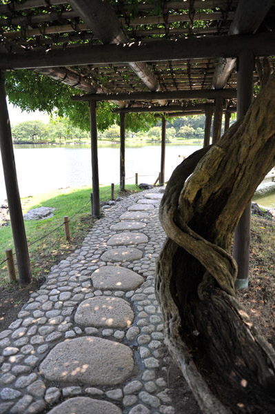 �l���{�����뉀