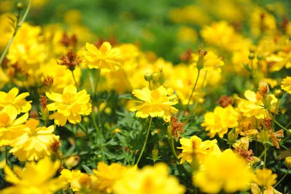 �l���{�����뉀