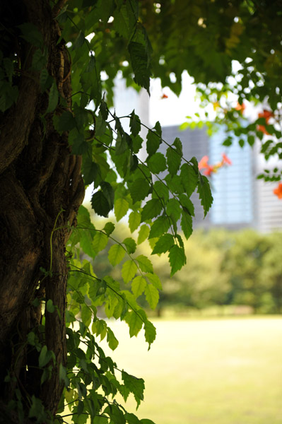 �l���{�����뉀