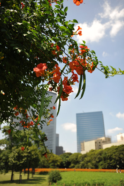 �l���{�����뉀