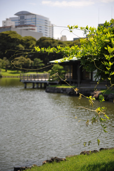 �l���{�����뉀