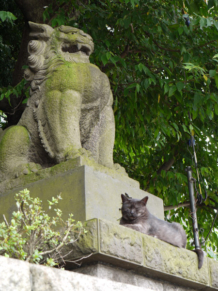 ��X�ؔ����{�̕��i