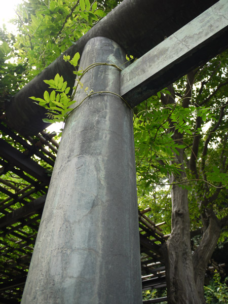 �����L�O�ق̒���