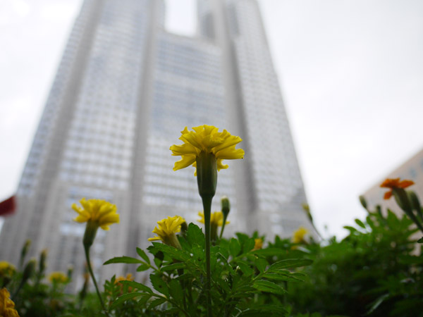 �����s��