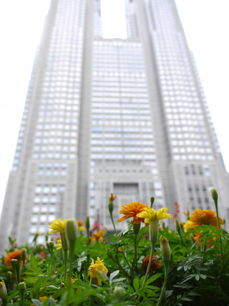 �����s��