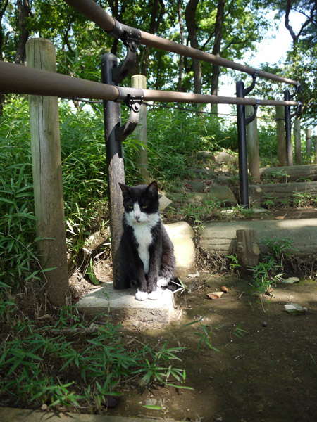 ����������