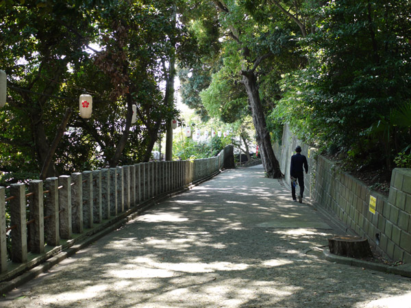 ��Ԑ_�Ђ̎Q��