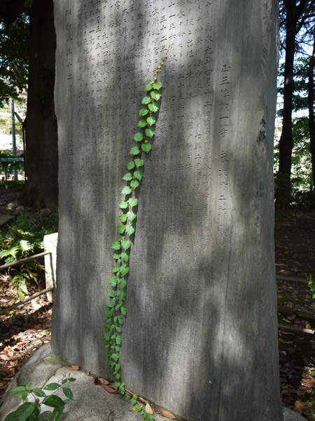 �x�m�_�Ђ̐Δ�