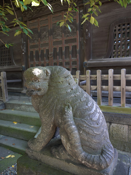 ��@�z�K�R�g�ˎ�