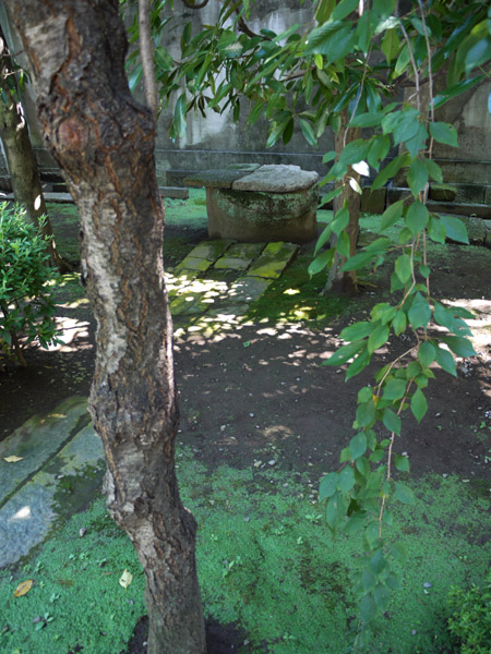 ��@�z�K�R�g�ˎ��̌È��