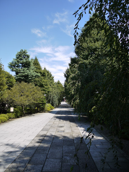 ��@�z�K�R�g�ˎ�