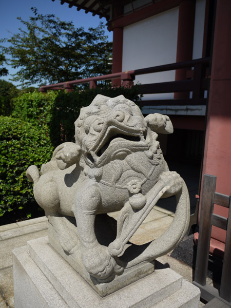 �z�K�R�g�ˎ��̍���