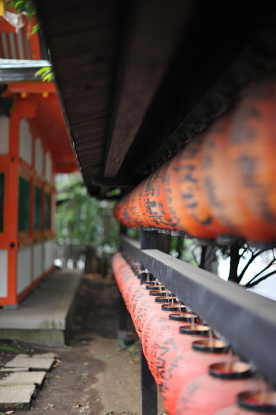 �L�h��א_�Ђ̒�