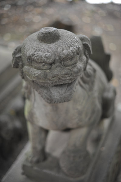 ���������{�̍���