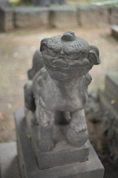 ���������{