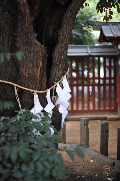 ���������{�̂��_��