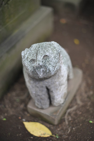 �a�J�X��_�Ђ̍���