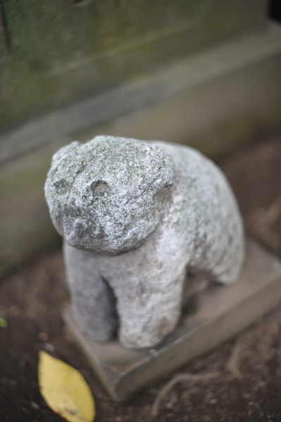 �a�J�X��_��