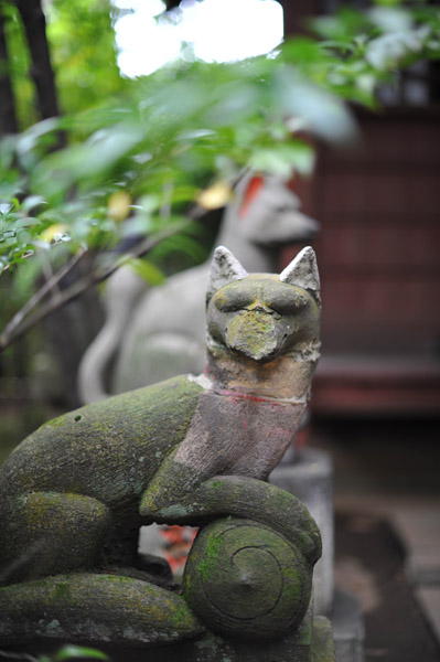 �a�J�X��_�Ђ̍���