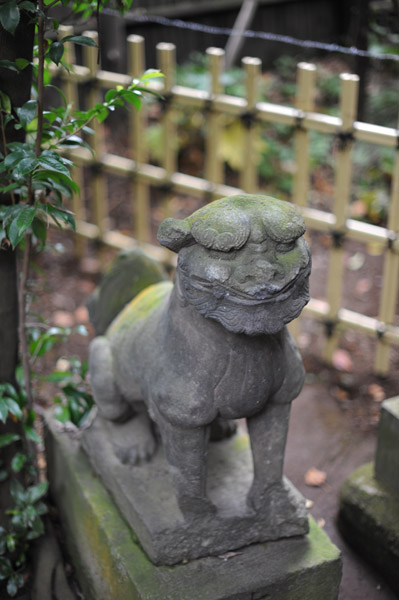 �a�J�X��_��