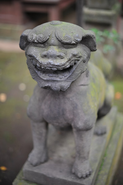 �a�J�X��_��