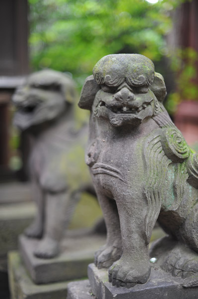 �a�J�X��_�Ђ̍���