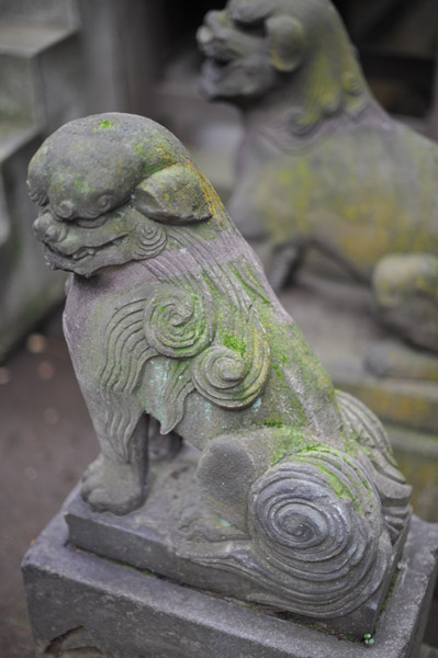 �a�J�X��_��