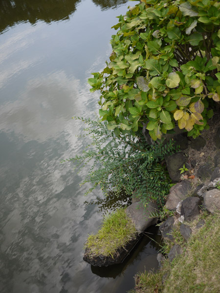 ���ŗ��{�����뉀