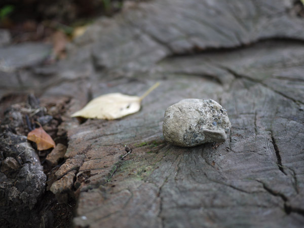 ���ŗ��{�����뉀