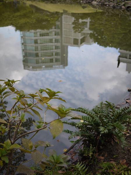 ���ŗ��{�����뉀