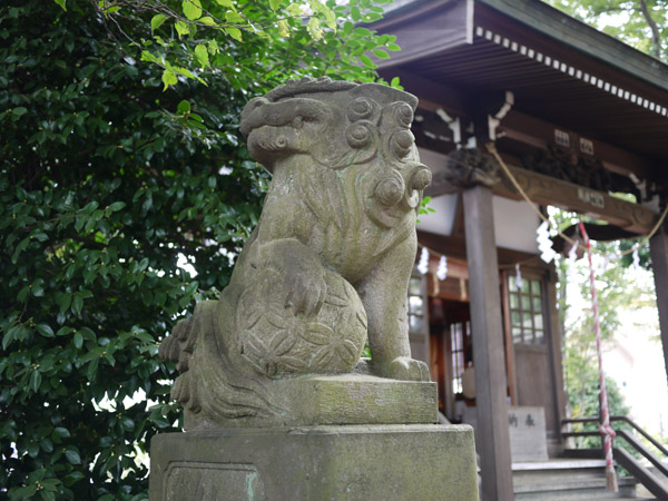 ���V�����_�Ђ̍���