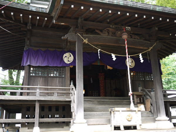 ���V�����_��