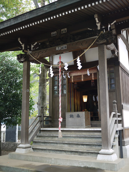 ���V�����_��