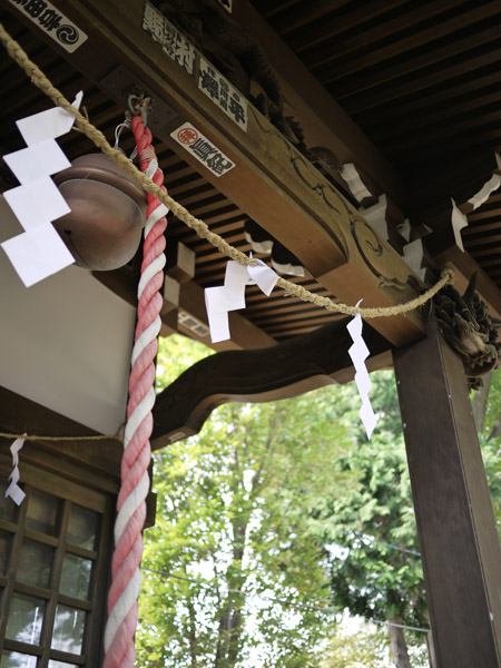 ���V�����_��