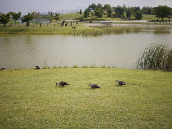 ������̌����ɂ�