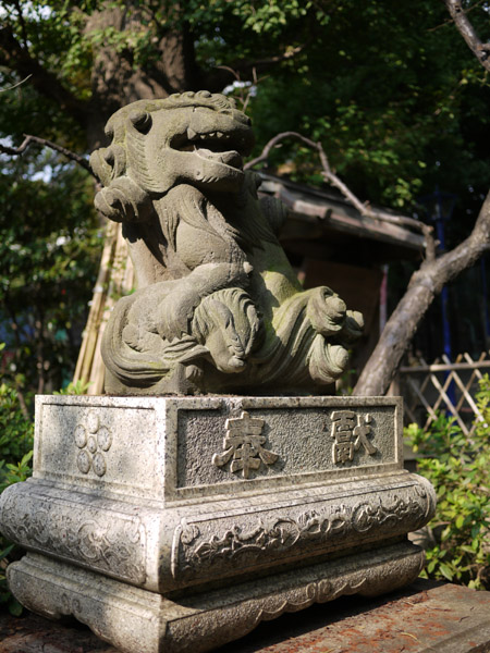 �ܞ��V�_�Ђ̍���