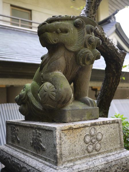 �ܞ��V�_�Ђ̍���