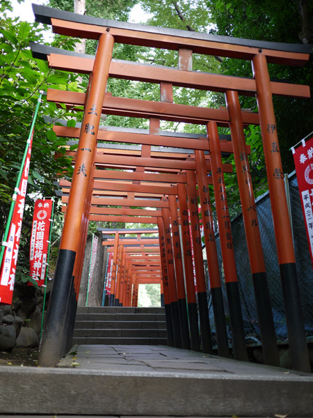 �ܞ��V�_�Б����猩��ԉ��_�Ђ̒���