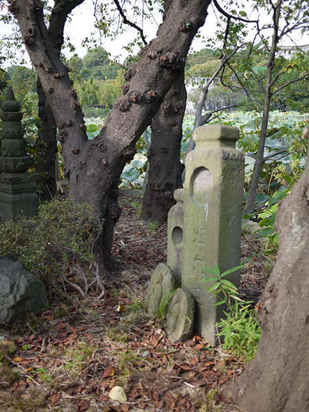 �����_�̂����e�ɂ�