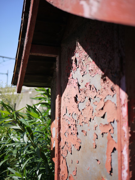 ���ˌ��Y���