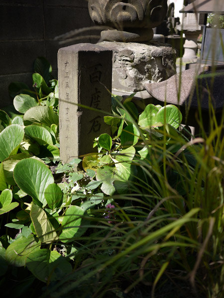 ���ˌ��Y���