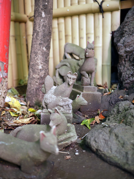 �ʕP��א_��