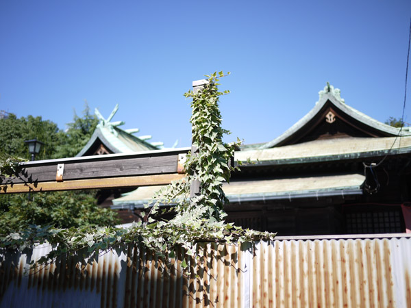 �ʕP��א_��