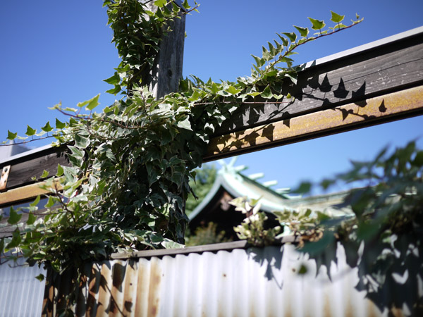 �ʕP��א_��