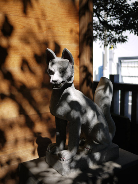 �Ύ��א_��