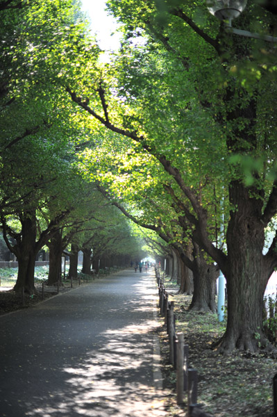 �_�{�O���̋�Ǖ���