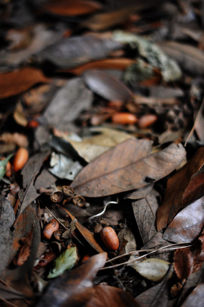 �_�{�O���̗т̒�